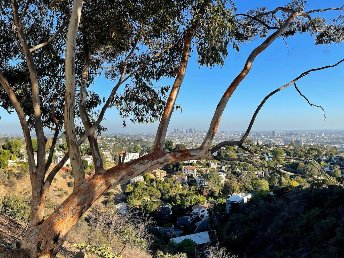 Hollywood Hills 1940S Mansion Hotell Los Angeles Eksteriør bilde